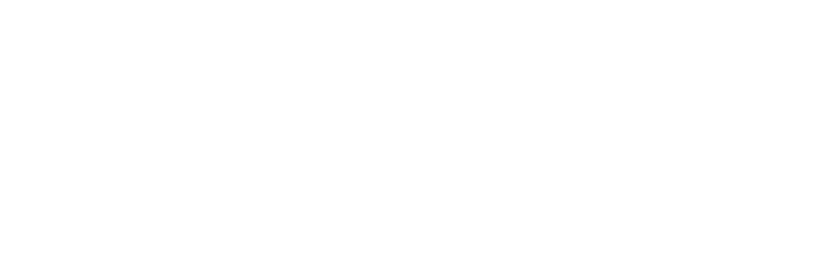 bonneville labs logo white