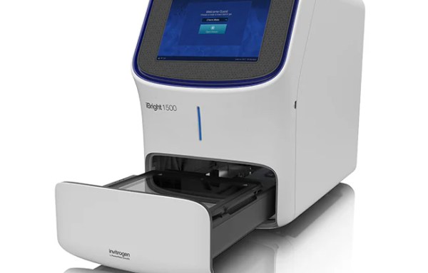 Gel imager