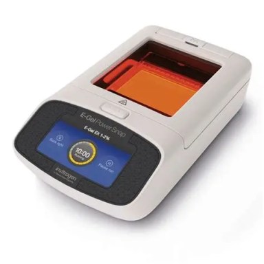 Electrophoresis instrument and camera